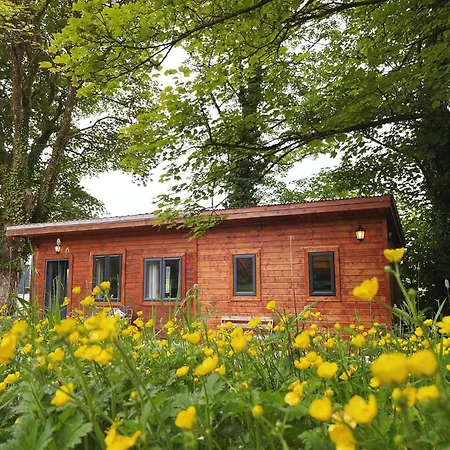 The Gamekeepers Cabin At Glenastar Lodge Newcastlewest Limerick V42Ny39 Newcastle West Exterior photo