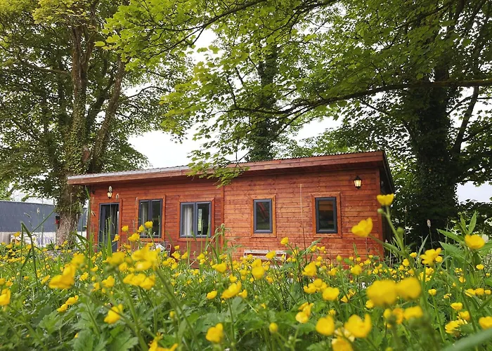 The Gamekeepers Cabin At Glenastar Lodge Newcastlewest Limerick V42Ny39